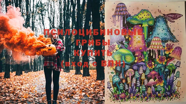 спайс Волоколамск