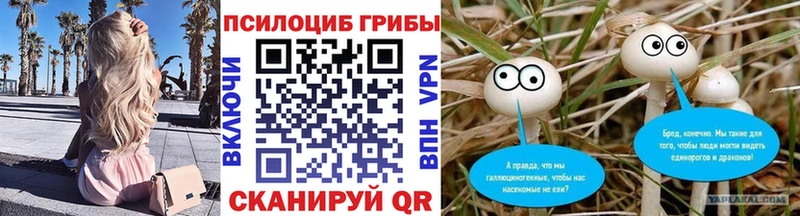 Псилоцибиновые грибы прущие грибы  Гвардейск 